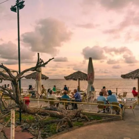 Madeira T2 Апартаменты