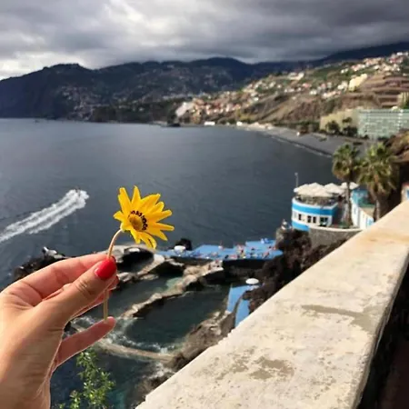 Apartmán Madeira T2